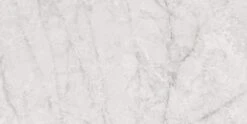 Atlantis White 24x48 Polished Porcelain Tile 16 Atlantis White 24x48 Polished Porcelain Tile -Oasistile Store euro glass atlantis white 24x48 polished porcelain tile oasis tile 38091340808386