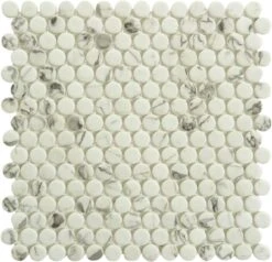Carolina Dots Fashion Spec Grey Penny Round Recycled Matte Glass Tile