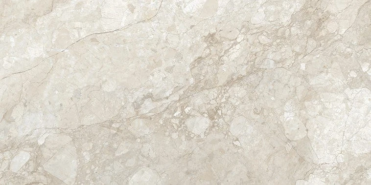 Stream Bone 24x48 Polished Porcelain Tile 6 Stream Bone 24x48 Polished Porcelain Tile - Image 4