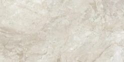 Stream Bone 24x48 Polished Porcelain Tile 19 Stream Bone 24x48 Polished Porcelain Tile -Oasistile Store euro glass stream bone 24x48 polished porcelain tile oasis tile 37912934613186