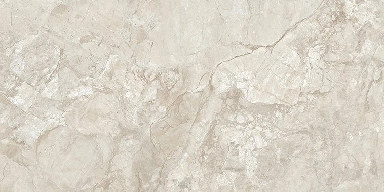 Stream Bone 24x48 Polished Porcelain Tile 8 Stream Bone 24x48 Polished Porcelain Tile - Image 6