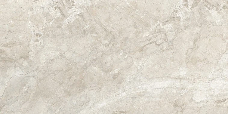 Stream Bone 24x48 Polished Porcelain Tile 9 Stream Bone 24x48 Polished Porcelain Tile - Image 7