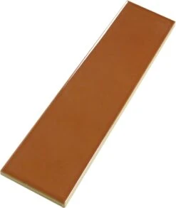 Ridge Terra Glossy 2x8 Ceramic Tile 7 Ridge Terra Glossy 2x8 Ceramic Tile -Oasistile Store matrix mosaics ridge terra glossy 2x8 ceramic tile oasis tile 40473447235778