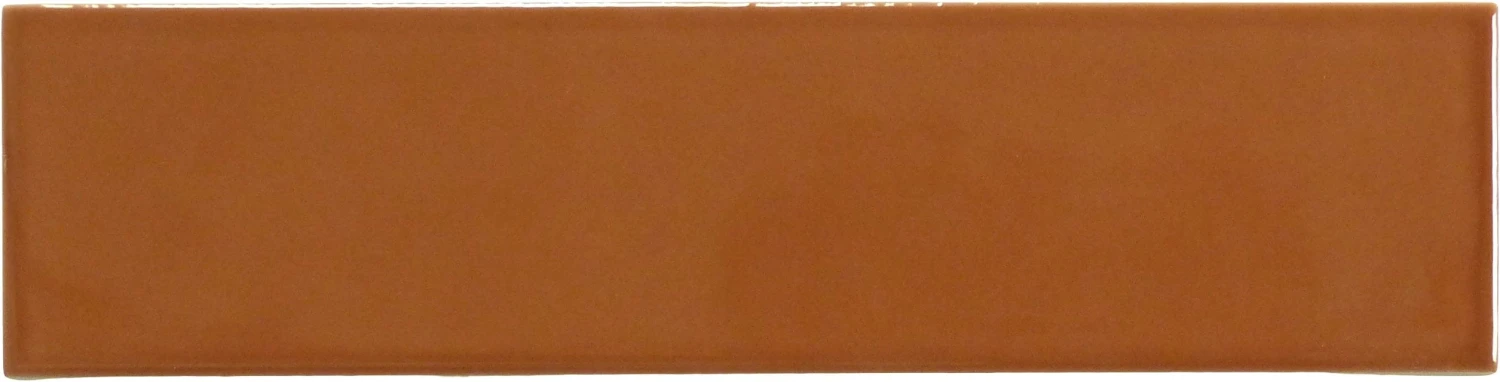 Ridge Terra Glossy 2x8 Ceramic Tile 3 Ridge Terra Glossy 2x8 Ceramic Tile